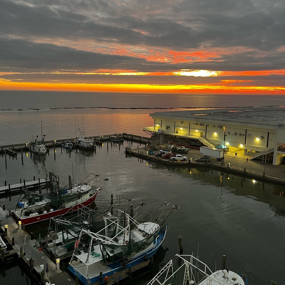 Meet your Posher, Donna